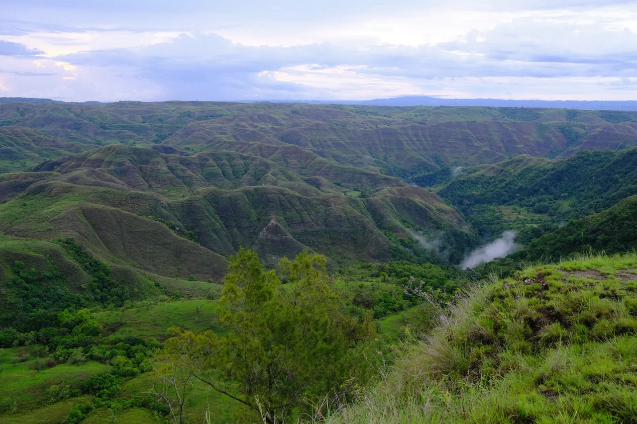 Green ridgelines and a winding road in the Tanarara and Hiliwuku hills