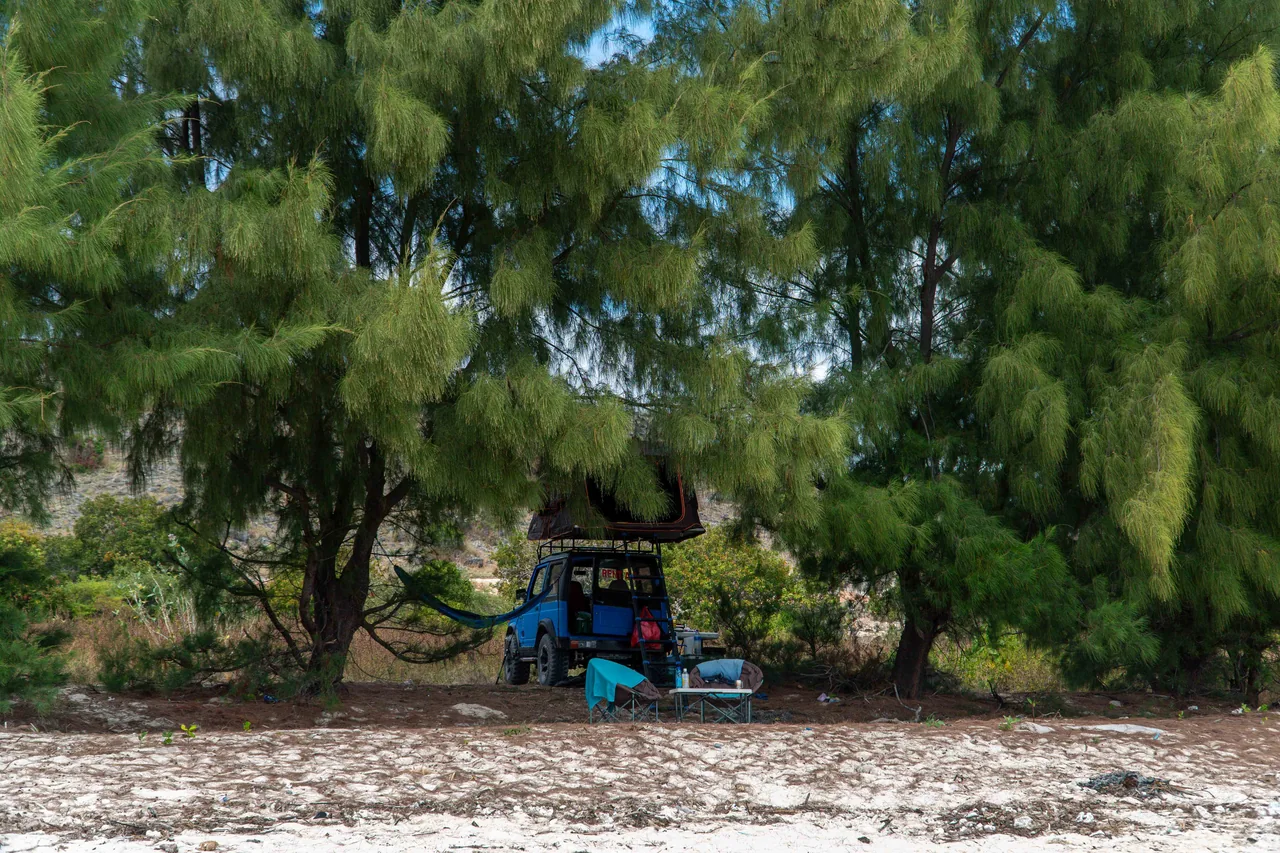 Wide view of the blue Jeep camping beneath coastal trees