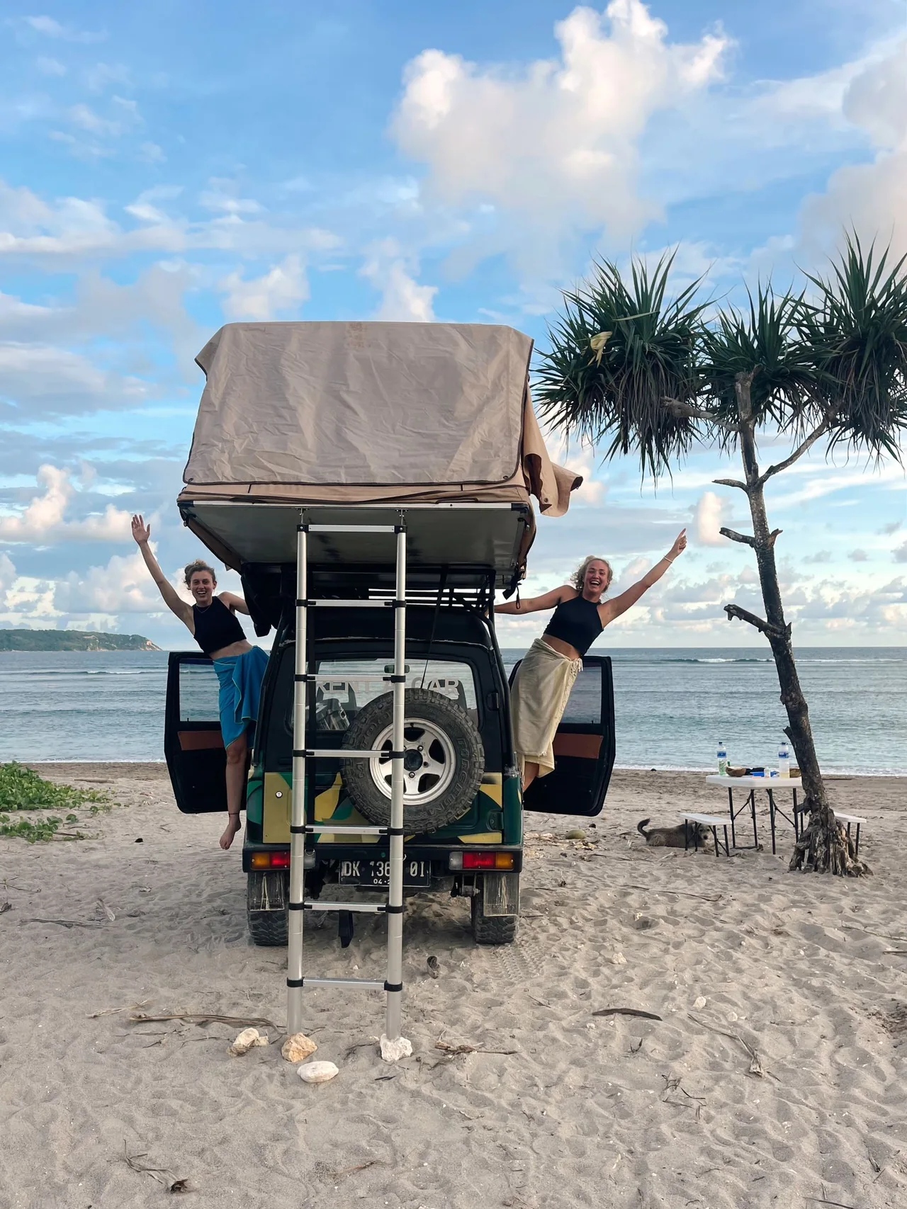 Rear view of the Jeep rooftop tent and ladder beside coastal palms
